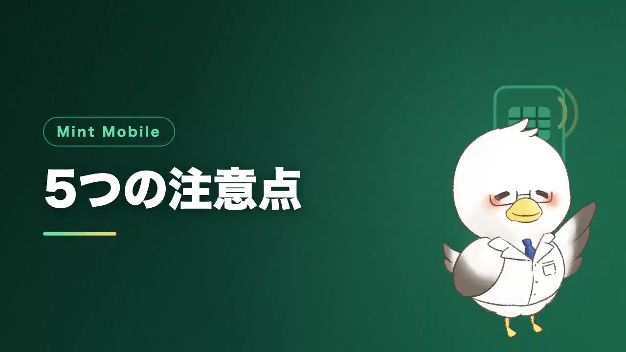 Mint Mobileの5つの注意点を解説するバナー画像